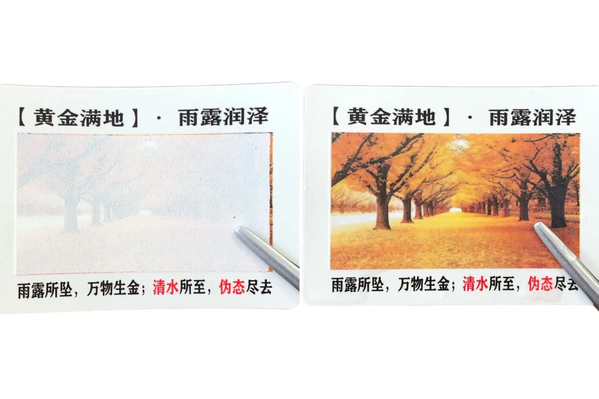 คุณรู้จักฉลากเปลี่ยนสีที่ไวต่อน้ำหรือไม่?