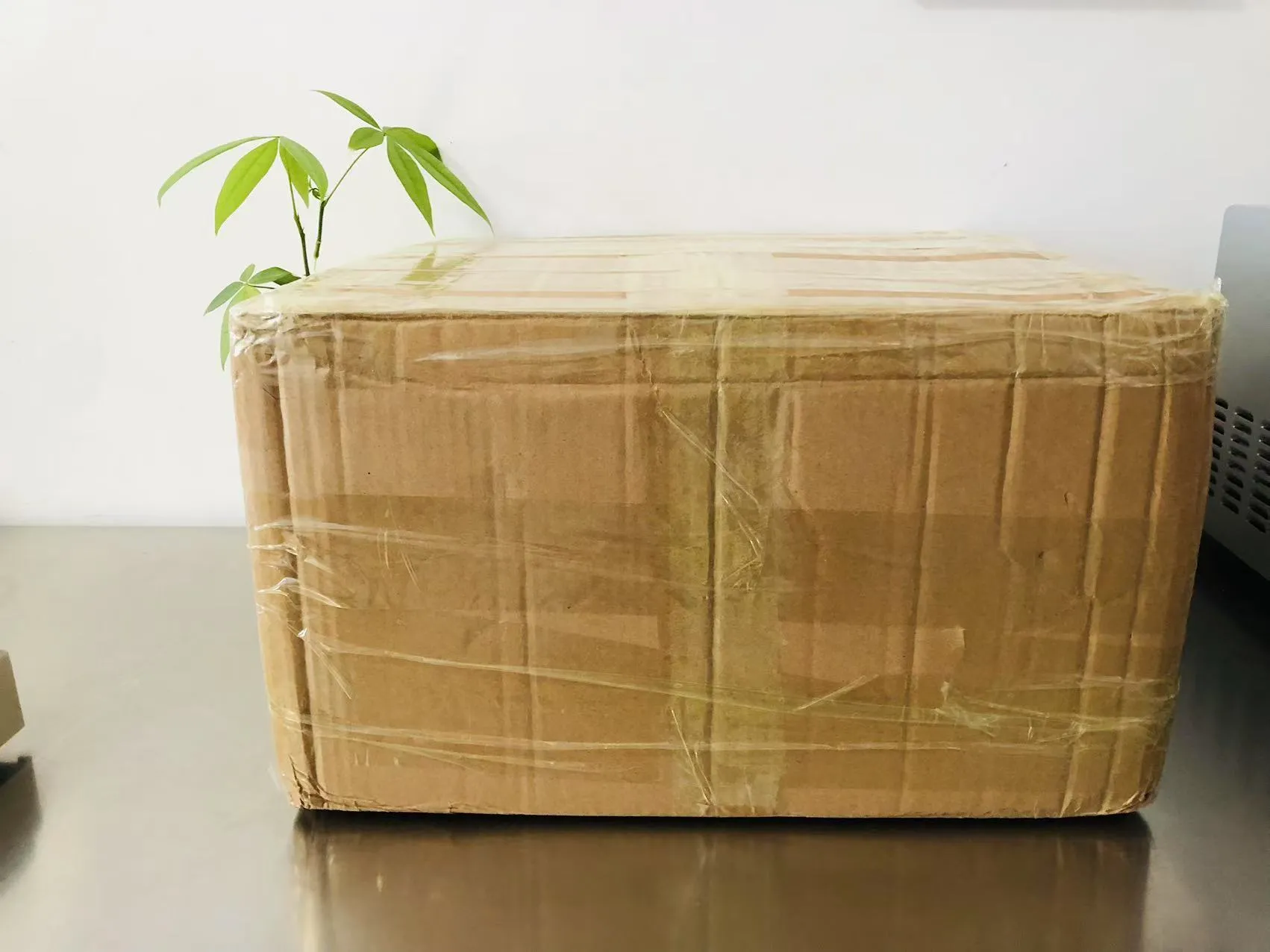 สติ๊กเกอร์ Solid Epoxy ลายการ์ตูนกำลังเดินทางไปญี่ปุ่นแล้ว